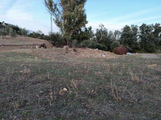 Finca rústica  Cerro atalaya. Excelente terreno en coin.