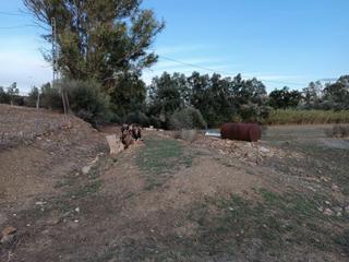 Finca rústica  Cerro atalaya. Excelente terreno en coin.
