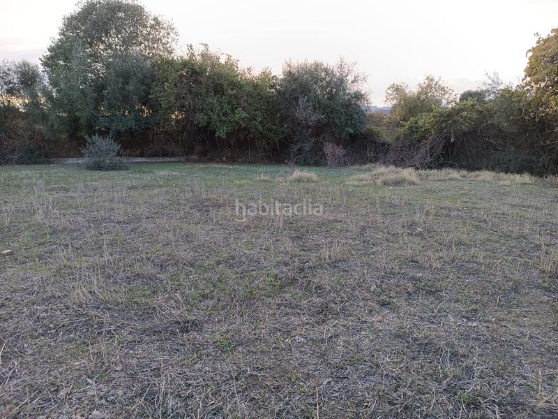 Foto 78955300-ef85-476f-8602-d333099f5e73. Propriété dans Coín