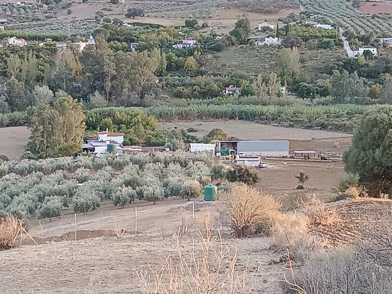 Foto a5b33163-0a16-4b7a-8a0e-4ba5f36c4ff6. Propriété dans Coín