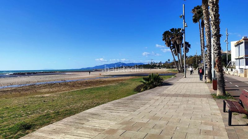 Foto 7fee02b4-71a3-4a08-906f-bca3149b1c5d. Estudi amb aparcament a Port - Horta de Santa Maria Cambrils