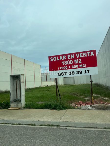 Foto 1e32a552-5609-4a9c-bddd-848d6074e914. Solar industrial a Torrefarrera