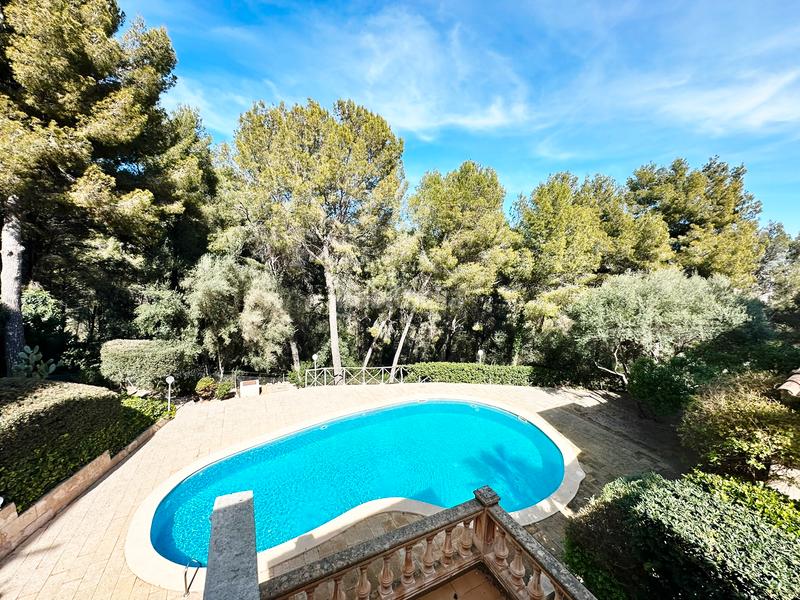 Foto 1ac68b79-53be-4ea0-9a40-248f82a8daa6. Àtic amb calefacció aparcament piscina a Cas Català-Illetes Calvià