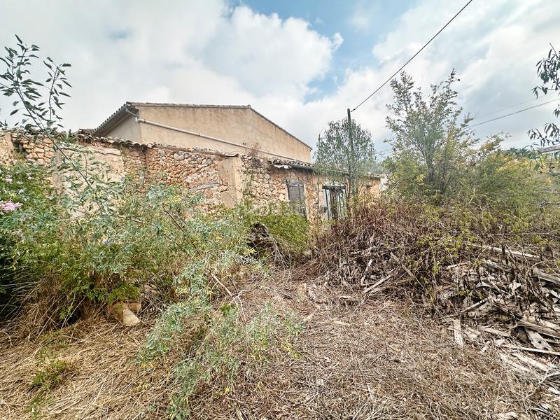 Foto 6a3196a0-99d8-4055-946a-d76f4ed473ac. House in plaça nova 7 in Calvià poble Calvià