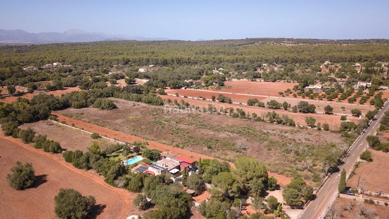 Foto 004b88d7-a591-4fa0-97b5-5678c04f0ae1. Finca rústica a n/a a Algaida