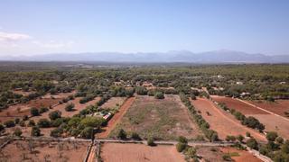 Finca rústica a N/a. Terreno en venta de 22.000 m2 en algaida
