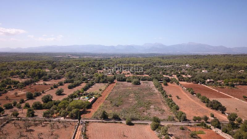 Foto 142c6f98-6e9a-4cf4-9cce-4413f23dc1d5. Finca rústica a n/a a Algaida