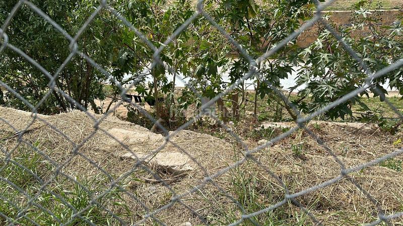 Foto 225c272f-2def-4c4a-9551-cf8eecc3ff07. Finca rústica a n/a a Algaida