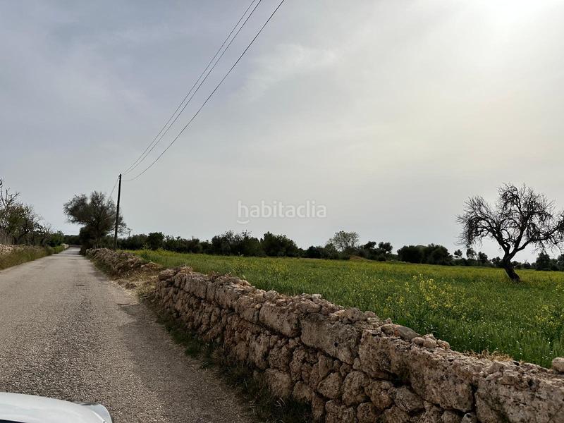 Foto 4cc91abd-659d-4bc4-bcac-c24acb610f62. Finca rústica a n/a a Algaida