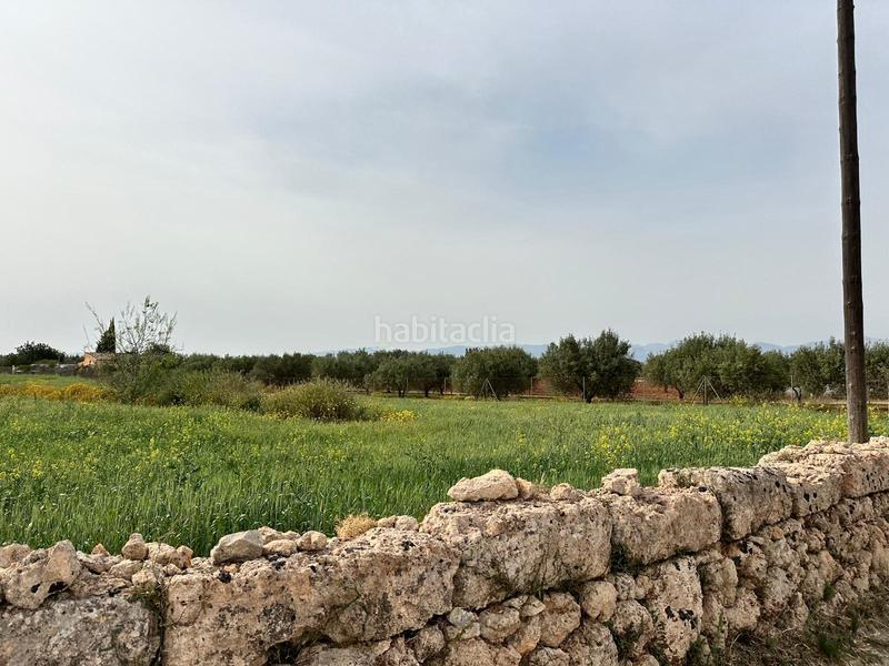 Foto 5d0b3552-b210-42cf-a69f-e2e6a0c8e4f3. Finca rústica a n/a a Algaida
