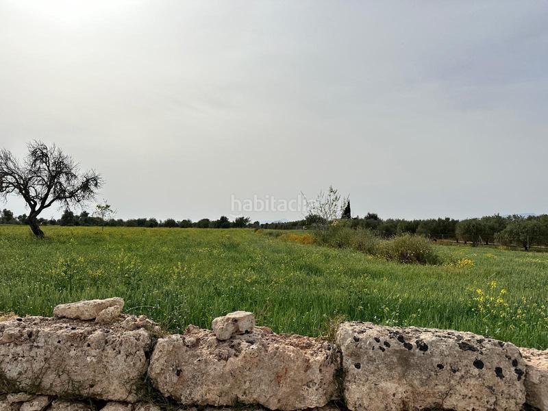 Foto bf4180d8-a113-417f-93c6-260bc81ad7fc. Finca rústica a n/a a Algaida