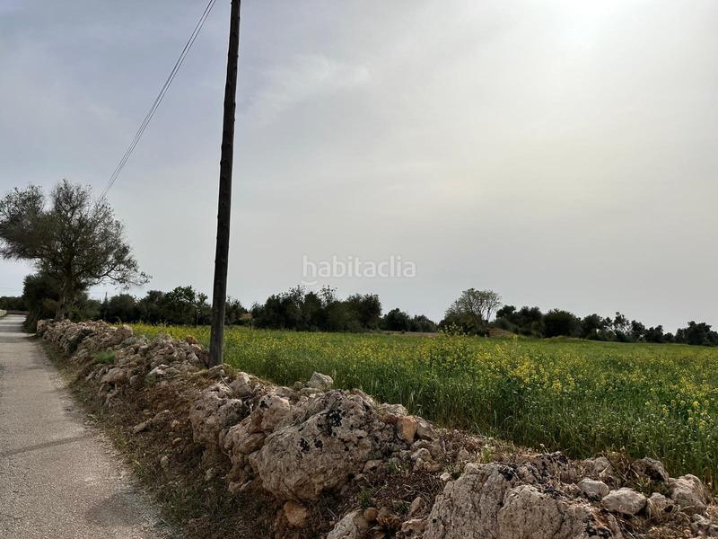 Foto e3a2cf5c-c4f2-4a54-965c-c7814168f6ff. Finca rústica a n/a a Algaida