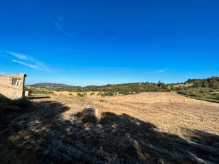 Country house  Camí d'es rafal aixat. Finca rústica sobre excepcional parcela de casi 20.000 m2 en san