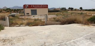 Rent Industrial building in Novelda
