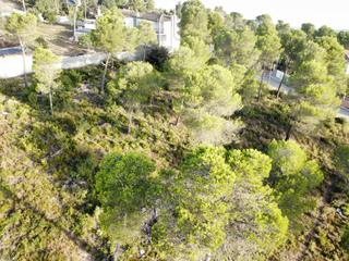 Terreny residencial a Torre de Claramunt (La)