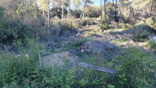 Residential Plot in De cabrera 1219