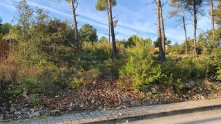 Residential Plot in Torre de Claramunt (La)