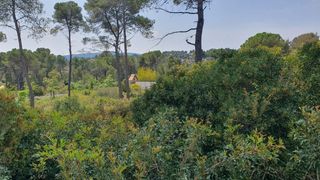 Terreny residencial a Torre de Claramunt (La)