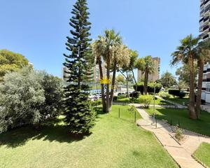 Location Studio à Lomas de Cabo Roig - Los Dolses. Iexclalquiler desde septiembre hasta junio!te presentamos este a