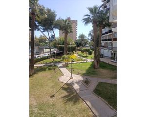 Lloguer Estudi a Lomas de Cabo Roig - Los Dolses. Ltpgtltstronggtiexclalquiler desde agosto para todo el antildeo!