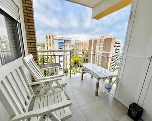 Location Studio à Lomas de Cabo Roig - Los Dolses. Iexclalquiler de septiembre hasta junio!te presentamos este acog