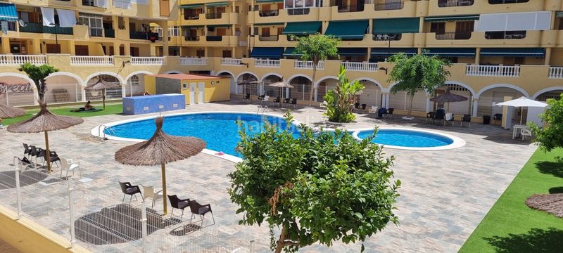 Foto cec53e1d-f0d5-4d4b-a5ce-7867bcda2dbe. Alquiler estudio iexclalquiler desde 15 de noviembre hasta 30 junio!te presentamos este acogedor estudio en la mata, disponible para alquiler. con en Torrevieja
