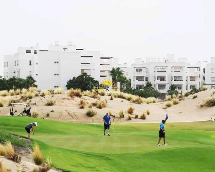 Foto ac03824c-4022-481a-ac6f-9d9c665fd839. Lloguer planta baixa amb calefacció aparcament piscina a Torre - Pacheco