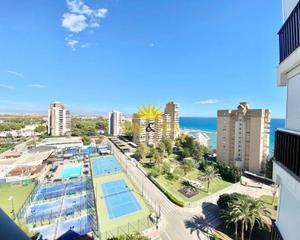 Lloguer Estudi a Campoamor. Ltpgtltstronggtiexclalquiler desde septiembre hasta junio!ltstro
