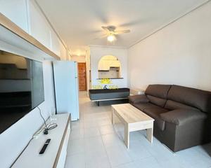 Lloguer Estudi a Zona Carrefour - Urbanizaciones. Iexclalquiler disponible desde el 5 de noviembreampnbsppara todo