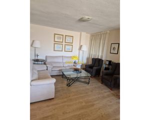 Location Appartement à Casco Antiguo. Iexclalquiler desde ya para todo el antildeo!iexclbienvenido a t