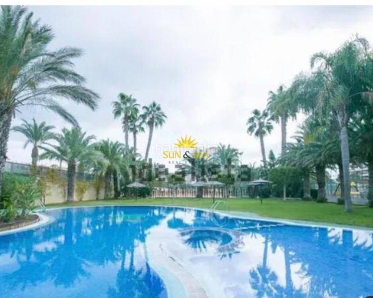 Foto d7715bb5-66f1-4808-8283-f7465d6f1e43. Miete appartement mit heizung parking pool in Los Arenales del Sol Elche / Elx