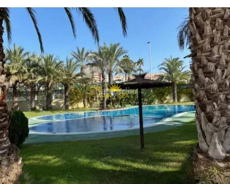 Foto 054a7360-cbfe-4cc9-abf0-de365cf46110. Rent apartment with heating parking pool in Los Arenales del Sol Elche / Elx