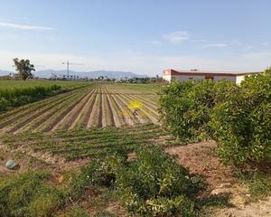 Terreny residencial a Dolores. Iexclventa de terreno en dolores!se vende una finca ruacutestica
