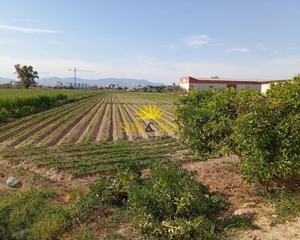 Terreny residencial a Dolores. Ltpgtltstronggtiexclventa de terreno en dolores!ltstronggtltpgtl