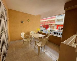 Rent Apartment in Avenida Habaneras - Curva de Palangre. Iexcldisponible desde ya hasta junio!ubicacioacutenampnbsptorrev