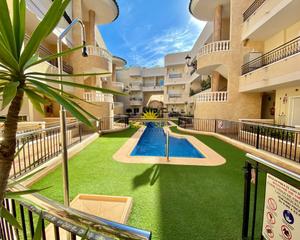 Location Appartement à Jacarilla. Iexclalquiler disponible desde ya para todo el antildeo!iexcldes