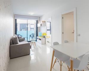 Apartament a Avenida Habaneras - Curva de Palangre. Ltpgtltstronggtiexclventa de apartamento en torrevieja ndash zon
