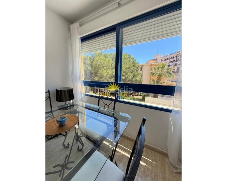 Foto 358474e4-77a0-474e-aa4f-ee87577852f4. Alquiler apartamento ltpgtltstronggtltstronggtltstronggtiexcldisponible desde septiembre para todo el antildeo!ltstronggtltpgtltpgttambieacuten hay opc en Orihuela
