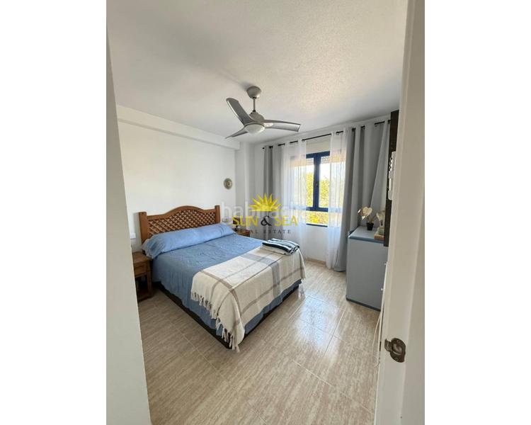 Foto 624e0955-f68c-4a0f-905a-072d91d919a3. Alquiler apartamento ltpgtltstronggtltstronggtltstronggtiexcldisponible desde septiembre para todo el antildeo!ltstronggtltpgtltpgttambieacuten hay opc en Orihuela