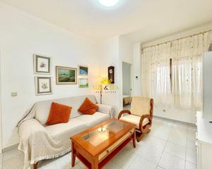 Location Appartement à Centro. Iexcldisponible desde septiembre para todo el antildeo!te presen