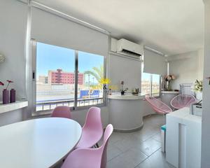 Location Appartement à Mil Palmeras. Ltpgtiexcldisponible desde septiembre a junio!ltpgtltpgtte prese