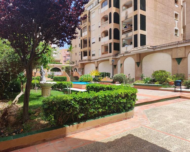 Foto 9d39f2de-5ead-4c59-aed4-47da0d2ff2ff. Lloguer apartament amb calefacció aparcament piscina a Torrevieja