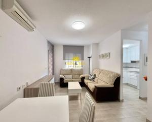 Lloguer Apartament a Las Viñas. Iexclalquiler desde ya paraampnbsptodo el antildeo en guardamar