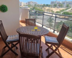 Rent Apartment en Los Arenales del Sol. Iexclalquiler en arenales del sol desde agosto hasta octubre!te