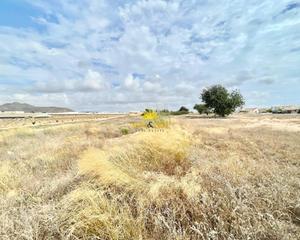 Residential Plot in Dolores de Pacheco-Santa Rosalía. Iexclterreno en venta!ponemos a tu disposicioacuten este amplio