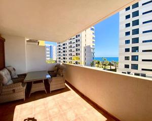 Rent Apartment en Punta Prima. Iexclalquiler desde agosto para todo el antildeo!se alquila ampl