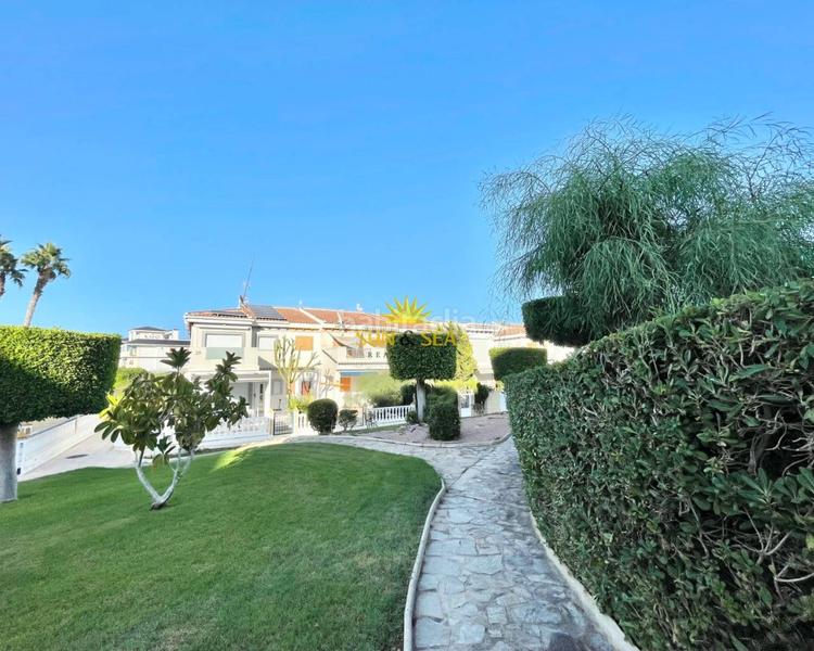 Foto 38d54488-1ab4-41d2-84a1-d4a0c2ee13b0. Lloguer estudi amb calefacció piscina a Cañada del Molino Torrevieja