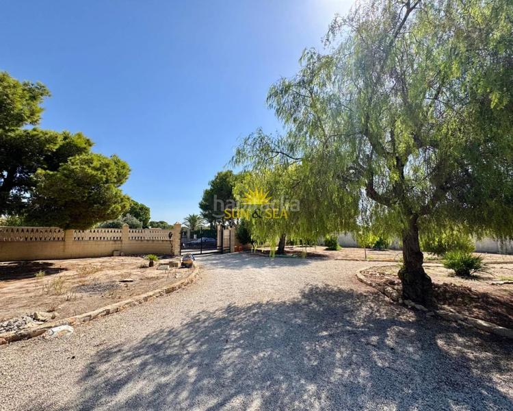 Foto acf6f85f-1f2d-433b-a2cf-a6ea2703fc8f. Alquiler masía iexclalquiler desde septiembre para todo el antildeo!te presentamos esta magniacutefica finca enampnbspel vincle, perfecta para qu en Elche / Elx
