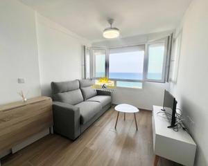 Alquiler Apartamento en Cabo Cervera. Disponible desde ya para todo el antildeo ndash apartamento en t