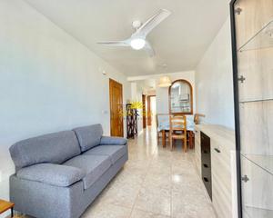 Lloguer Apartament a Centro. Iexcldisponible desde el 15 de septiembre hasta junio!te present